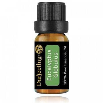 Darjeeling Aromatherapy - Eucalyptus Globulus - 100% Pure Essential Oil