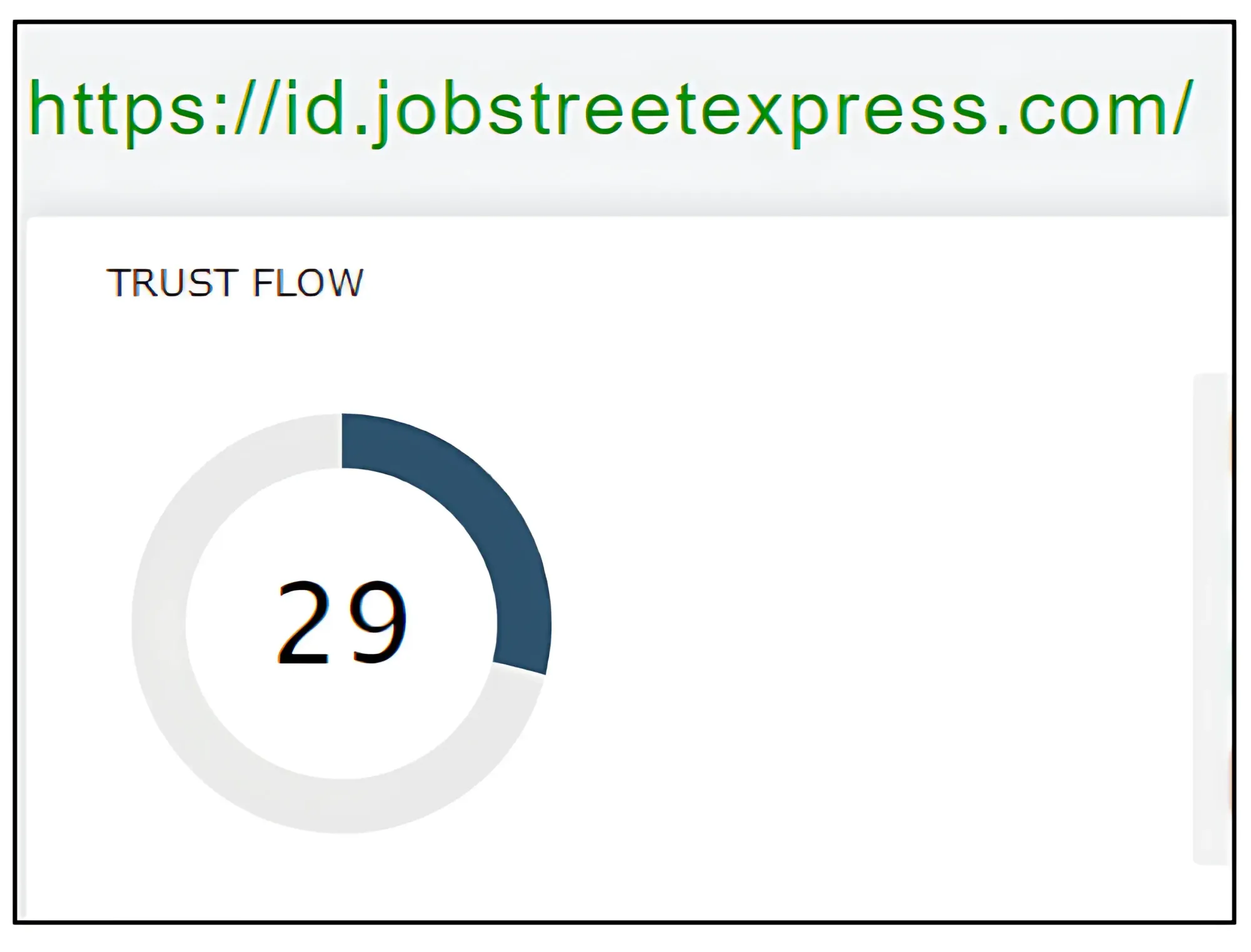 Trust Flow (TF): Went from essentially 0 to 29 (search credibility made better)